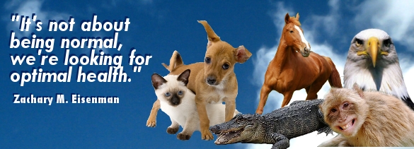 pets2